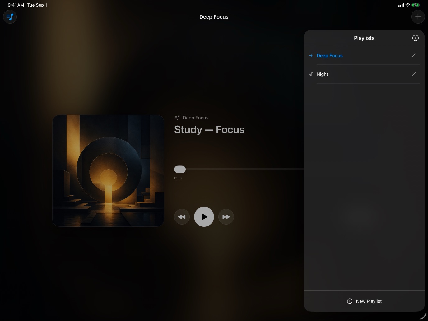 Badplayers playlists on iPad